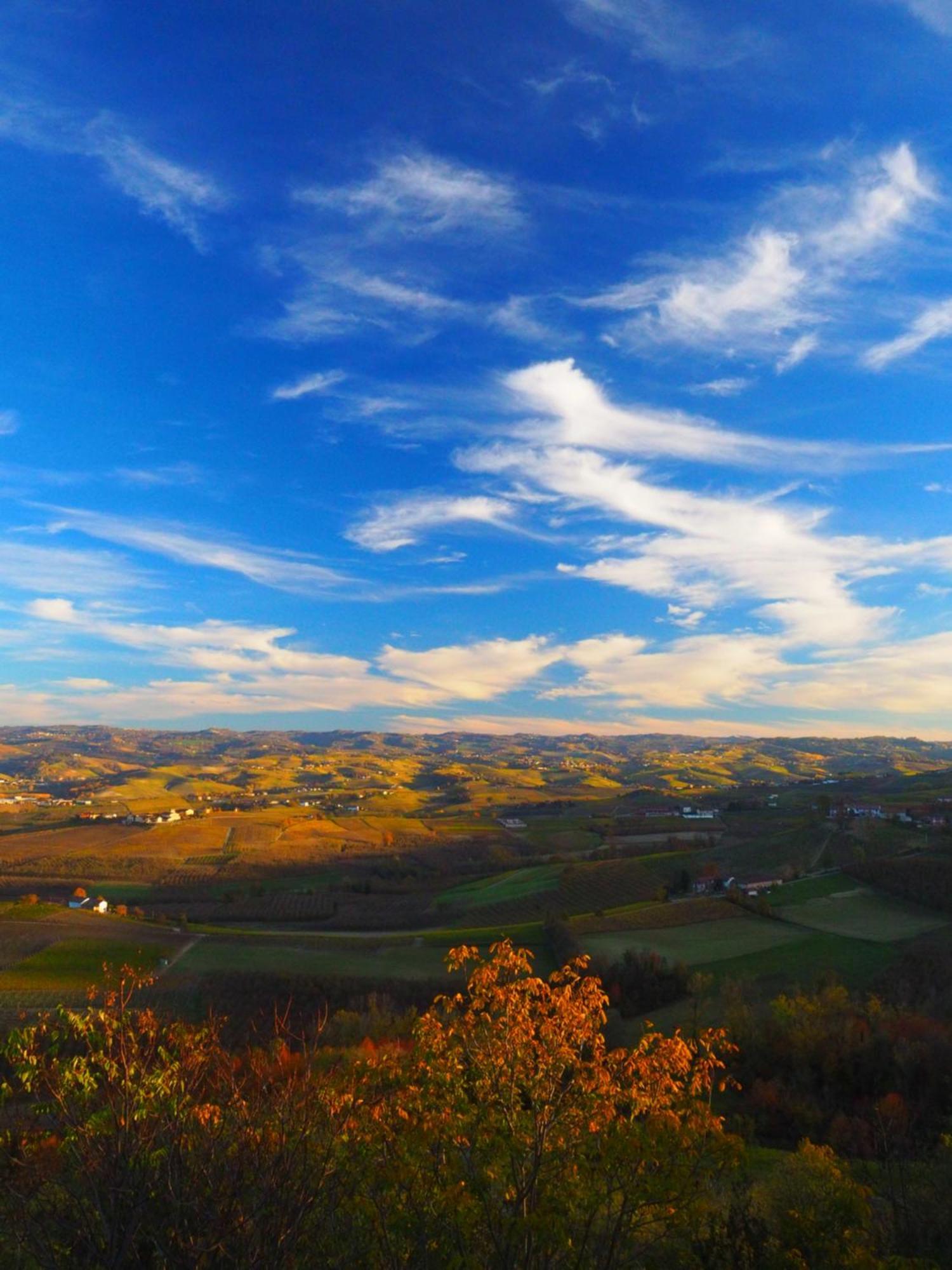 La Vigna Del Parroco-2- Daire Serralunga d'Alba Dış mekan fotoğraf